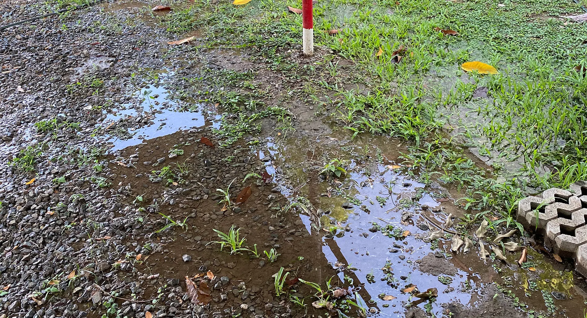 A field of grass flooded with water