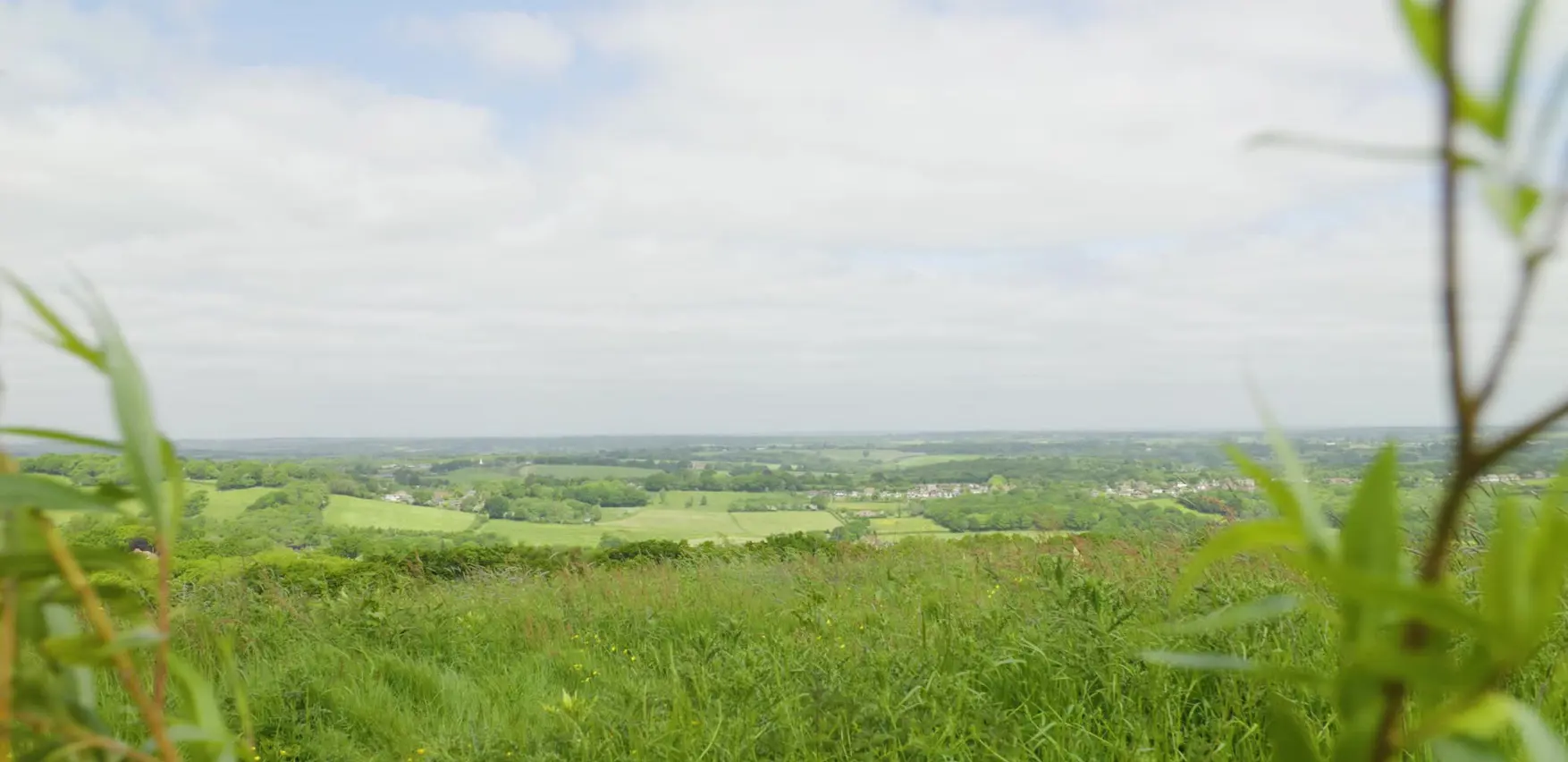 A photo of the Fairlight landscape