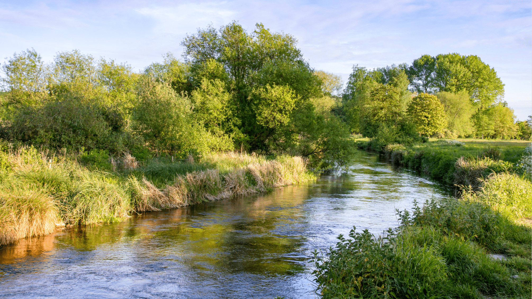 A photo of a river in Hampshire cutting through a field
                        