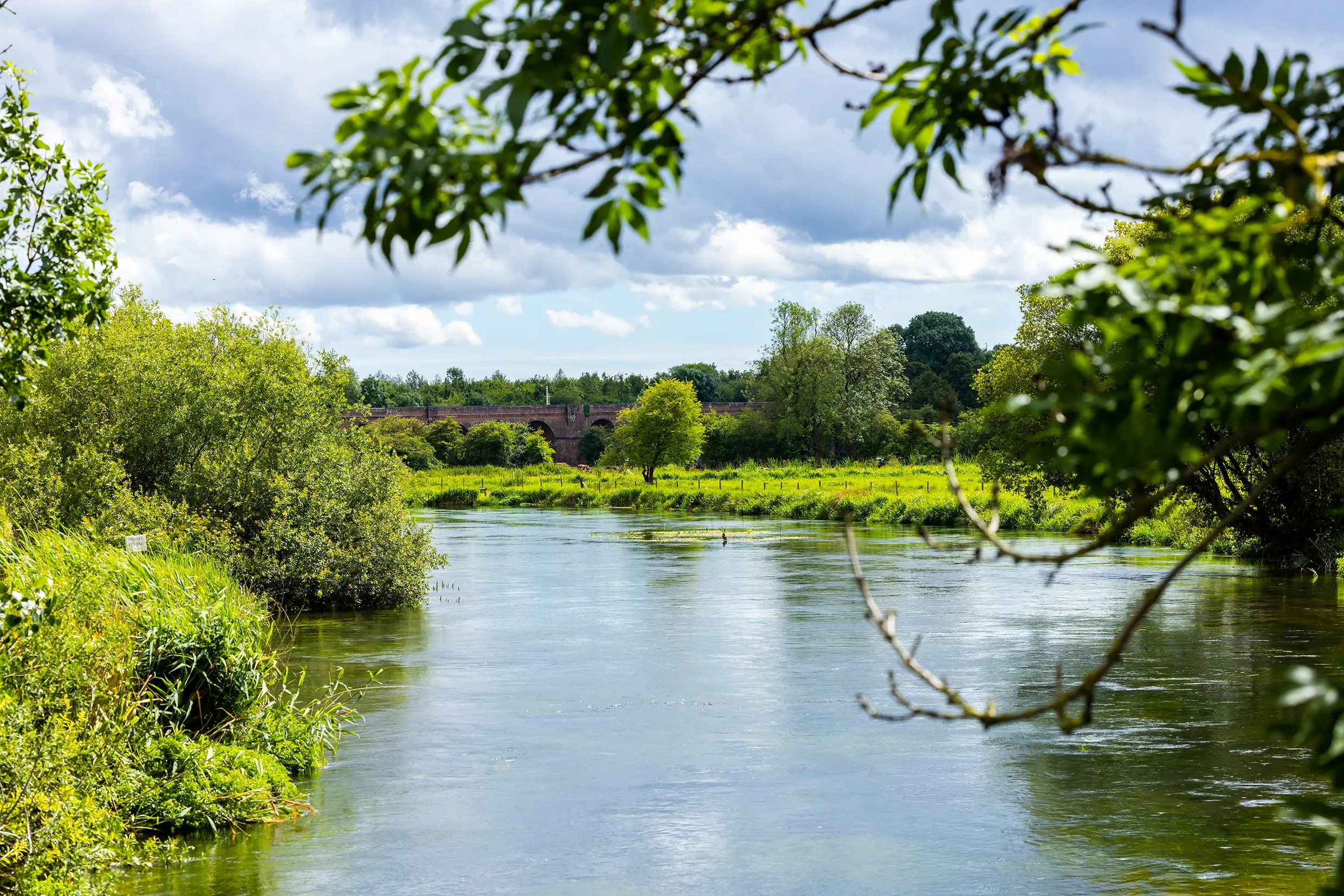 A wide shot looking along the River Itchen